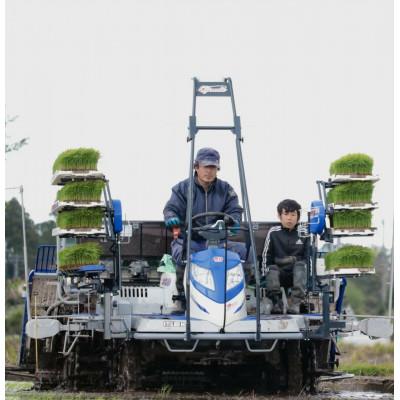 ふるさと納税 大網白里市 令和6年産千葉県産コシヒカリ 精米 10kg (5kg×2袋) |  | 03
