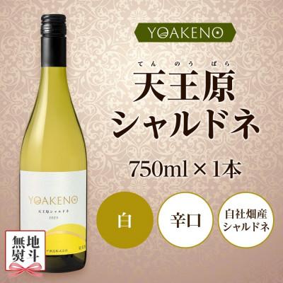 ふるさと納税 笛吹市 【のし付き】山梨県 YOAKENO 天王原シャルドネ 750ml×1本 白ワイン モンデ酒造 笛吹市 |  | 03
