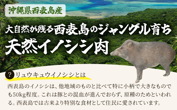 ジビエ イノシシ 肉 西表島産 スライス 200g×2パック