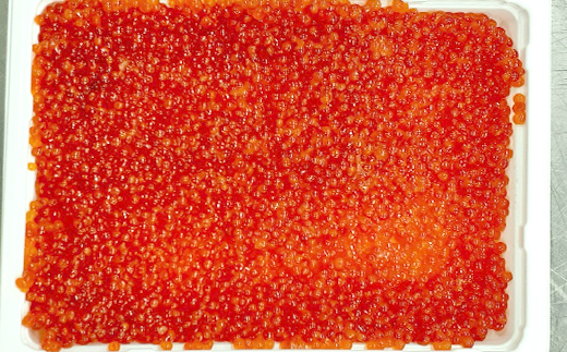 紅鮭いくら醤油漬け 500g 冷凍 年末年始 いくら 鮭いくら ご飯のお供 ご飯 米 北海道 釧路市 F5F-0116