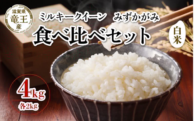 
            【 先行予約 】 令和7年産 新米 予約 ミルキークイーン みずかがみ 白米 各 2kg 4kg 米 滋賀県 竜王町 国産 農家直送 特別栽培米 みるきーくいーん ミズカガミ  2025年産 国産 農家直送 環境こだわり お米 こめ おこめ 産地直送 送料無料 滋賀県 竜王町 ふるさと納税
          
