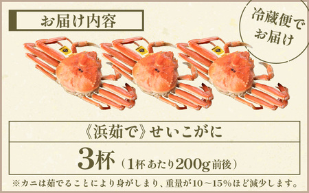 ≪浜茹で≫越前産 せいこがに（生で200g前後） × 3杯【12月発送分】【雌 ズワイガニ 越前ガニ 姿 ボイル 冷蔵 かに カニ 蟹 福井県】希望日指定可 備考欄に希望日をご記入ください [e43-