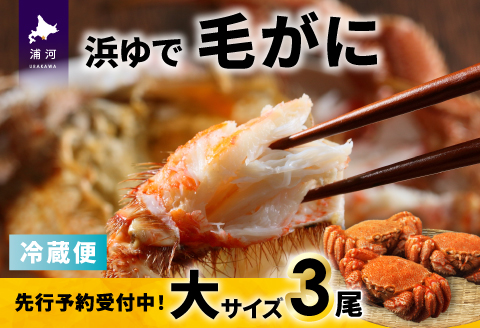 【今が旬！】漁協の浜ゆで毛がに 大サイズ３尾※日付指定対応不可※[02-1416]