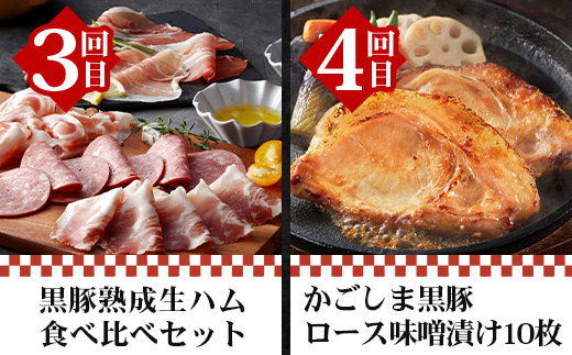 【全12回】至福の かごしま黒豚 味わい定期便 NS-37 | 鹿児島 かごしま 豚 豚肉 ぶた おかず しゃぶしゃぶ 餃子 味噌漬け 生ハム 生姜焼き ハンバーグ ウインナー ハム ソーセージ 焼き