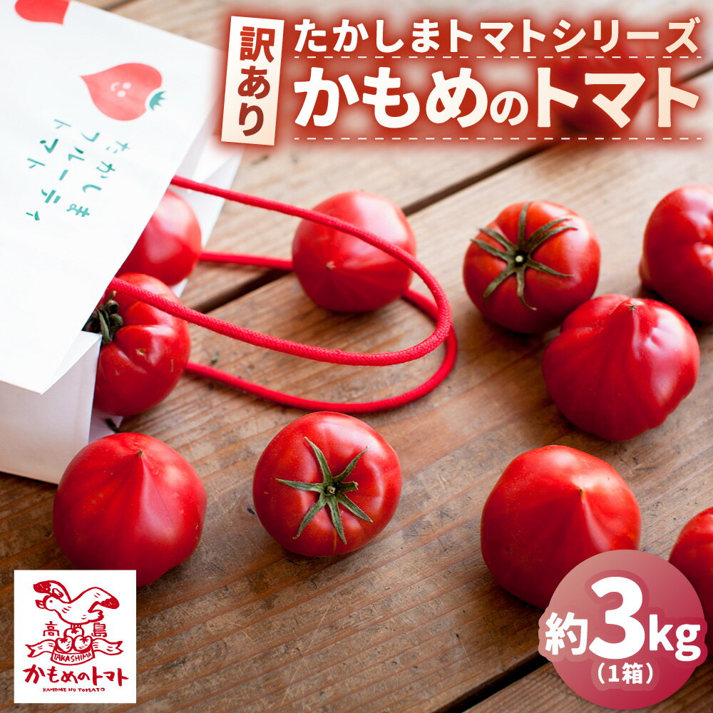 【ふるさと納税】【訳あり】たかしまトマトシリーズ ｢かもめのトマト｣ 【糖度6度以上】 約3kg箱×1 トマト とまと 野菜 やさい サラダ 料理 ケチャップ ピューレ ジュース トマトジュース 常温 訳アリ わけあり 理由あり フードロス 【2026年1月下旬～4月下旬発送予定】
