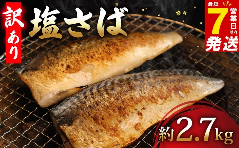 
                  ＼最短7営業日以内発送／ 訳あり 塩さば フィーレ 約2.7kg 20尾以上 塩サバ 塩鯖 鯖 さば サバ 冷凍 簡単調理 手軽 料理 和食 おかず 惣菜 お弁当 夕食 食卓 家庭用 魚 海鮮 水産 水産加工品 送料無料 千葉県 旭市 有限会社井上商店 ius001
                