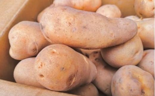 
メークイン　厚沢部産　約10kg【規格秀品Mサイズ】 【 ふるさと納税 人気 おすすめ ランキング じゃがいも ジャガイモ メークイン カレー コロッケ 煮物 北海道 厚沢部 送料無料 】 ASO012
