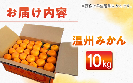 【自然の力を活かした栽培】温州みかん（普通） 10kg -2025年12月下旬より発送- 農事組合法人希望種（きぼうのたね）[ECQ006]  みかん ミカン 柑橘 温州みかん 果物 くだもの フルー