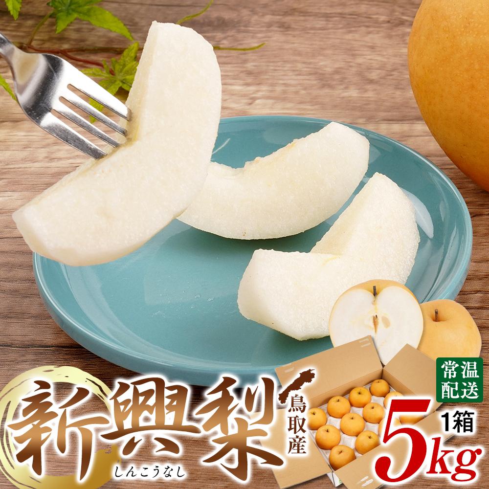 【ふるさと納税】【先行予約】梨 新興梨 鳥取産 5kg× 1箱 | フルーツ 果物 くだもの 食品 人気 おすすめ 送料無料