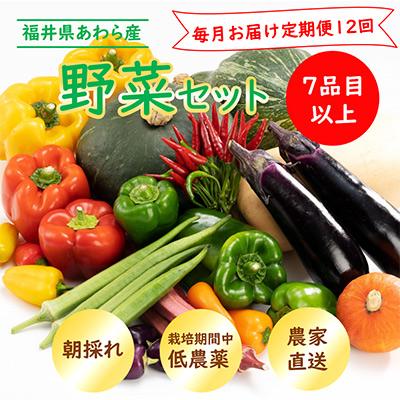 ふるさと納税 あわら市 【毎月定期便】 農家直送 旬の野菜セット 7品目以上全12回