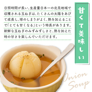【4月上旬まで発送します！受付は3月31日まで】JAきたみらいから直送する甘くて美味しい新鮮玉ねぎ 20kg(L) ( たまねぎ 野菜 北海道 玉葱 )【104-0008-2023】