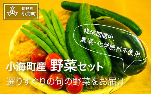 【先行予約】小海産野菜セット［さかまき農園］