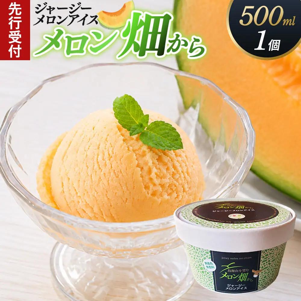 《先行受付》ジャージーメロンアイス「メロン畑から」500ml×1個