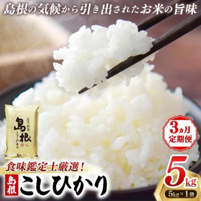 ふるさと納税 安来市 【毎月定期便】食味鑑定士厳選　島根こしひかり 5kg(5kg×1袋)(安来市)全3回