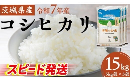 スピード発送!! 【 令和7年産 】 茨城県産 コシヒカリ 15kg ( 5kg × 3袋 ) 米 お米 コメ 白米 こしひかり 茨城県 精米 新生活 応援 新米 スピード配送 [DK003ci]