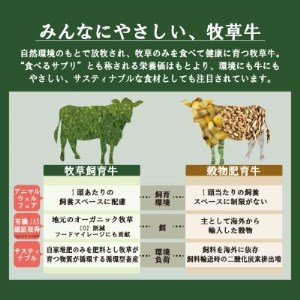 北海道産 オーガニック牛肉 生ハンバーグ約800g【 国産牧草牛・北里八雲牛】【配送不可地域：離島】【1347489】