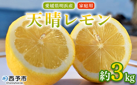＜天晴レモン ご家庭用 約3kg＞ フルーツ 果物 くだもの レモン れもん 檸檬 柑橘 訳あり わけあり ワケアリ 自宅用 料理 国産 国産レモン 愛媛県産 特産品 株式会社笑丸 愛媛県 西予市【常温】『2025年9月～2026年1月に順次出荷予定』AAN0044