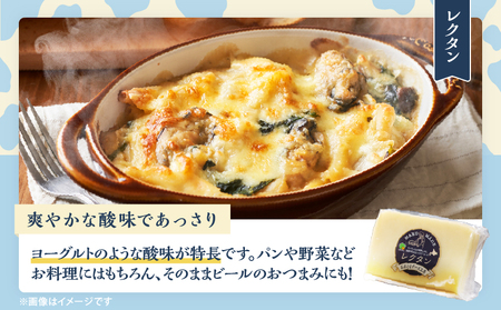 【おおともチーズ工房】《創業時からの看板メニュー》セミハードチーズ「レクタン」4個_H0003-022