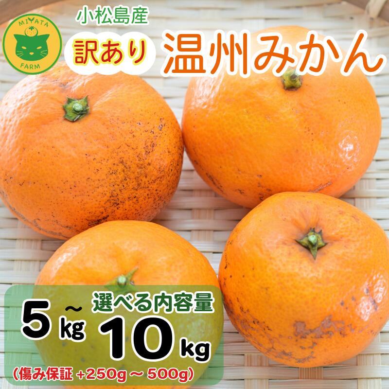 【ふるさと納税】 【2025年11月順次発送】 訳あり みかん 温州みかん5kg/10kg （+傷み保証250g～500g） ミカン 蜜柑 甘い フルーツ 柑橘 ジュース 小松島市 オススメ 人気 ふるさと納税 5kg 10kg