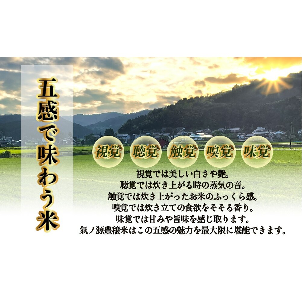 ＜先行予約＞お米自慢コンクール優秀賞！  令和6年産 富山県産コシヒカリ 玄米 10kg ＜10月下旬以降順次発送＞ 富山県 氷見市 こしひかり R6_イメージ3