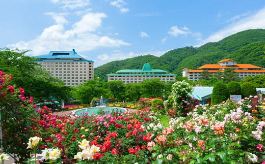 ワーケーション利用ができる宿泊券！１ヵ月コース（28泊29日）花巻温泉 ビジネス応援プラン  【787】