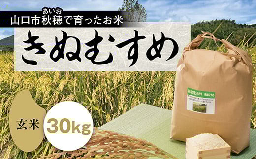 
            A101 あいお（秋穂）で育ったお米　きぬむすめ　玄米30kg
          