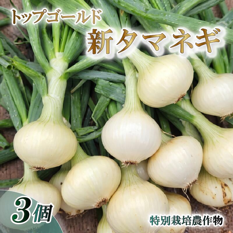 【ふるさと納税】 【予約受付】 新 タマネギ トップゴールド 特別栽培 産地直送 農家直送 美味しい 野菜 やさい 玉ねぎ タマネギ 新鮮 静岡県 沼津市 やまひろ農園 たまねぎ