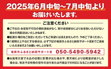 【2024年先行予約分】《厳選大玉》高糖度！パッションフルーツ約1.3kg 12個 国産 果物 奄美大島 農家直送 ビタミン カリウム 葉酸 トロピカルフルーツ