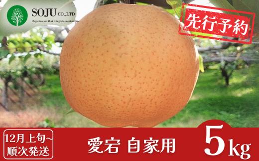先行予約 和梨 愛宕 自家用 約5kg [12月上旬から発送予定] 令和7年度 新潟県三条市産 梨 訳アリ  [三条果樹専門家集団] 【010S262】