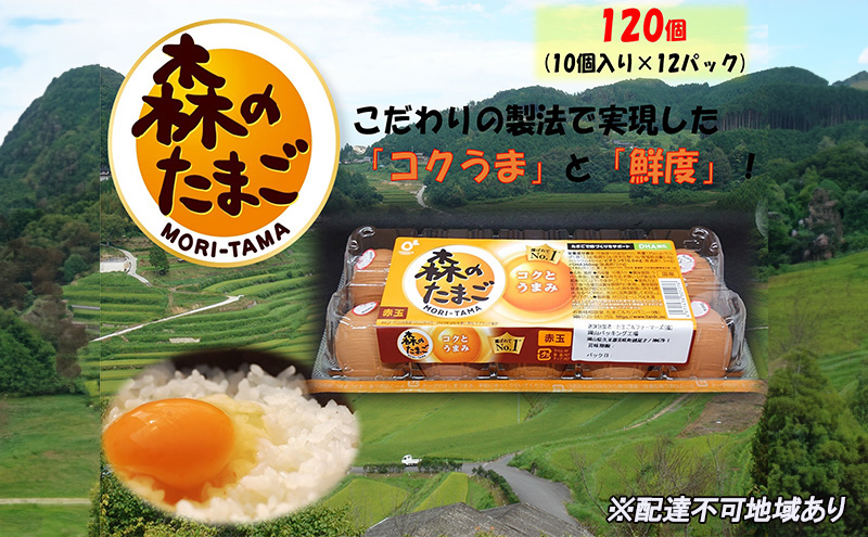 卵かけごはん の 聖地 美咲町 森のたまご（赤玉） 120個（10個入り×12パック） 卵 鶏卵 たまご