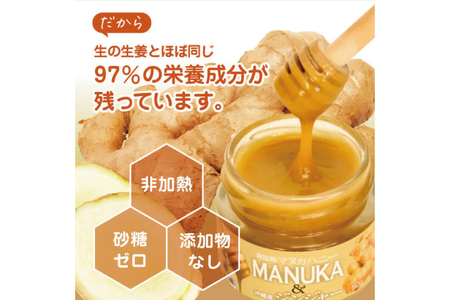 マヌカハニー＆沖縄県産ジンジャー 50g×2個｜はちみつ ハチミツ 蜂蜜 マヌカハニー ジンジャー 生姜 ビタミン お土産 ギフト プレゼント お祝い 人気 沖縄 沖縄県 豊見城市(DK006)
