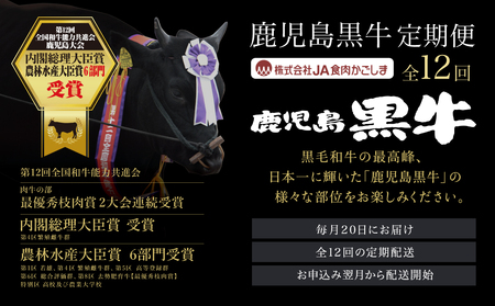 【JA食肉かごしま】鹿児島黒牛定期便（全12回） 和牛日本一の「鹿児島黒牛」お肉 ステーキ すき焼き しゃぶしゃぶ 黒毛和牛 牛肉 定期便 南さつま市