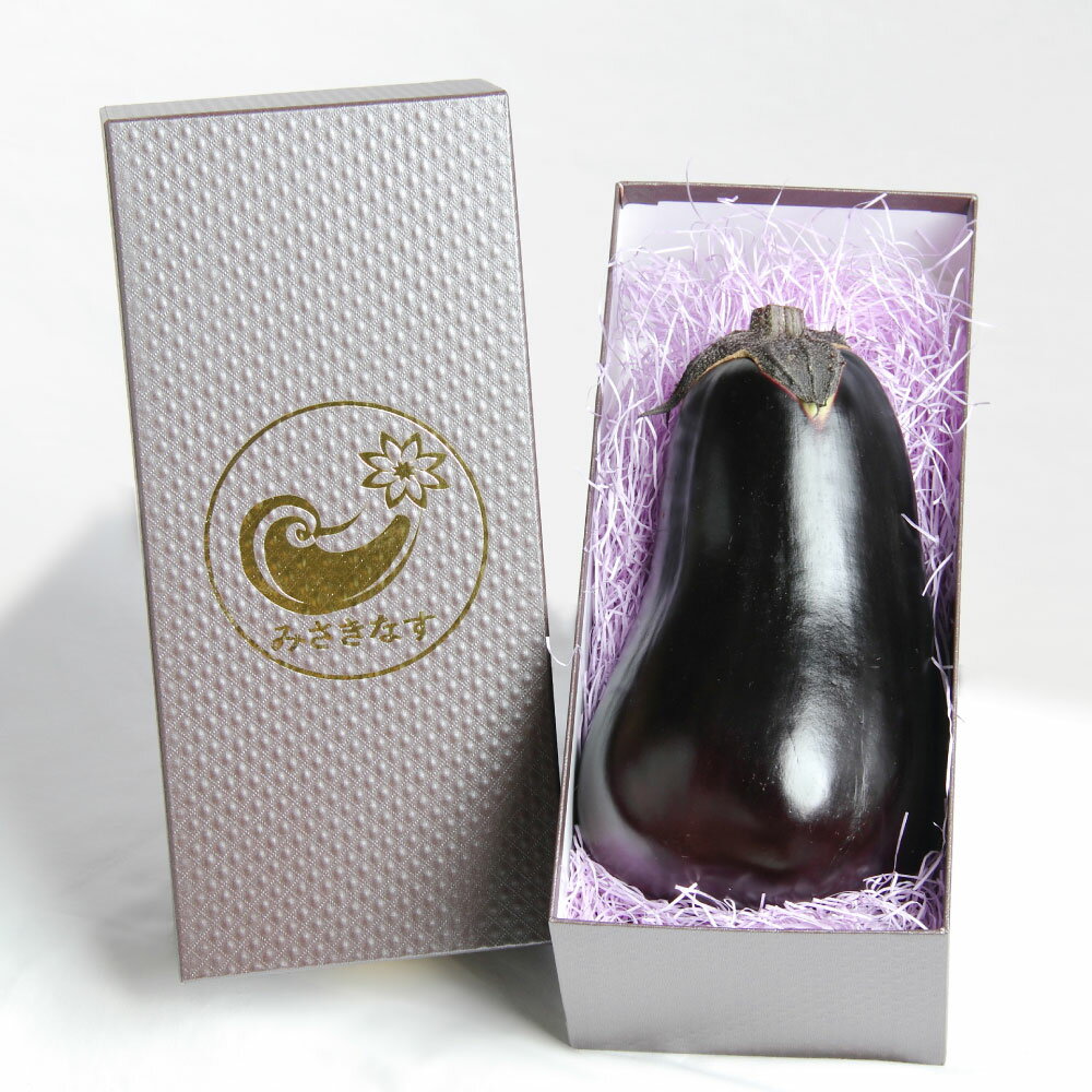 【ふるさと納税】【選べる容量】 カッシーファームのみさきなす 1個 約1kg または 2個 合計約1.9kg なす 茄子 ナス ジャンボナス 自家製 野菜 国産 岡山県 美咲町 送料無料 【2026年8月上旬-9月下旬発送予定】