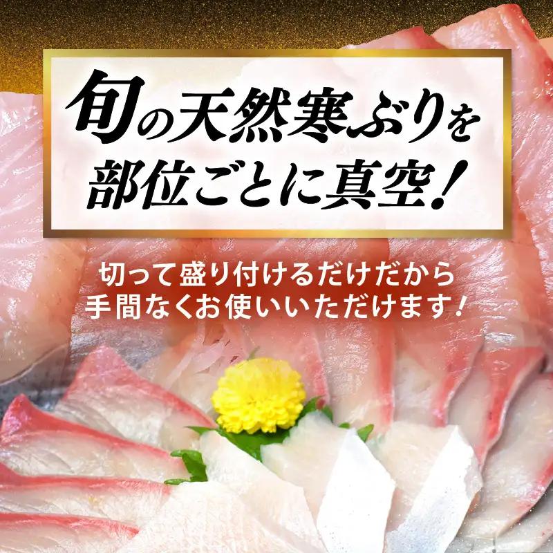 【先行予約】若狭・日向の天然寒ブリ 脂たっぷり 部位ごと食べ比べ  ALL1本分セット (腹＋背＋トロ+アラ+カマ 計6kg前後) 【2026年12月下旬以降順次発送】寒ぶり [m17-m002]