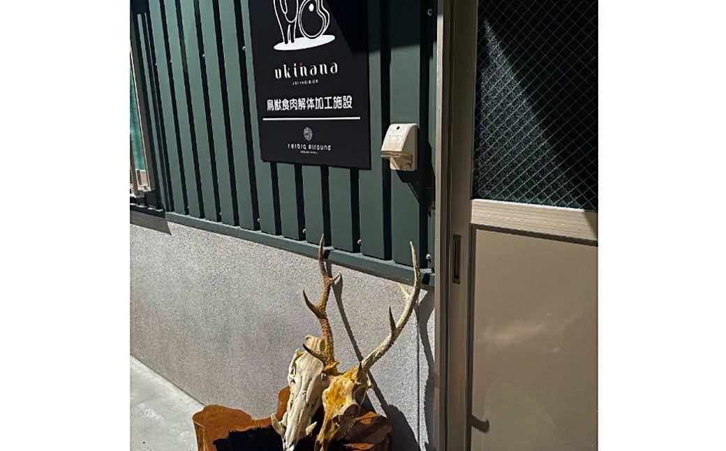【ジビエ】 天然鹿肉 BBQカット 300g×2パック 天然鹿 鹿肉 シカ肉 赤身 ロース肉 モモ肉 スライス ジビエ ジビエ肉 ジューシー おかず BBQ バーベキュー キャンプ キャンプ飯 ジビエ