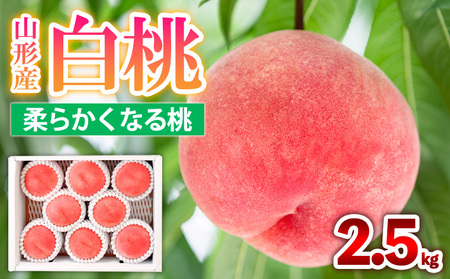 山形産 白桃  [柔らかくなる桃] 2.5kg(7～10玉) 秀品 品種おまかせ 【令和8年産先行予約】FS25-603 くだもの 果物 フルーツ 山形 山形県 山形市 2026年産
