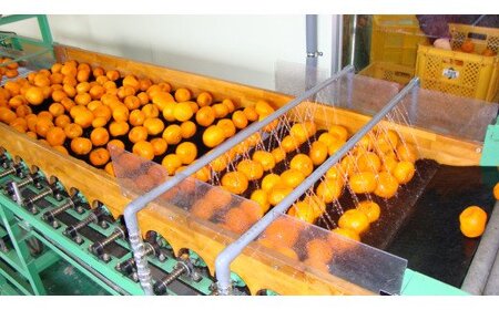 有田みかんの味皇７２０ｍｌ×３本【kjk100】
