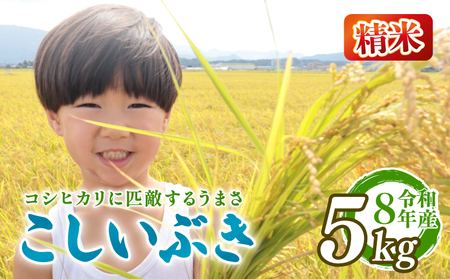 【先行予約】令和8年産 こしいぶき 精米 5kg 新発田市産 こしいぶき kwsKI