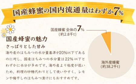『純国産』土佐のみかん山のはちみつ＜600g＞ 国産 東洋町産 蜂蜜 ハチミツ ハニー 国産はちみつ 国産ハチミツ 四国 家庭用 自宅用 大容量 送料無料 TA21 【田中農園】