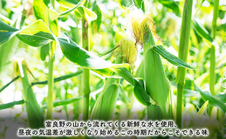 【2024年8月～発送】北海道 富良野市 とうもろこし 食べ比べ サニーショコラ 黄色 ＆ ホワイトショコラ 白色 L～2L サイズ 計5kg ふらの 野菜 トウモロコシ とうきび 数量限定 (フラノ