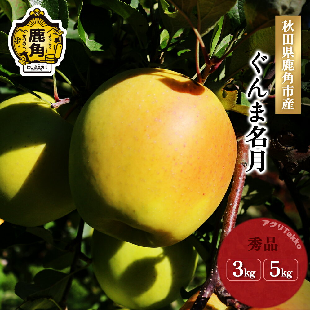 【ふるさと納税】《 先行予約 》 りんご 秀品 鹿角りんご ぐんま名月 贈答用 3kg / 5kg ぐんま 名月 数量限定 リンゴ 完熟 旬 県産りんご お中元 お歳暮 グルメ ギフト 故郷 秋田 あきた 鹿角市 鹿角 送料無料 【アグリTakko】