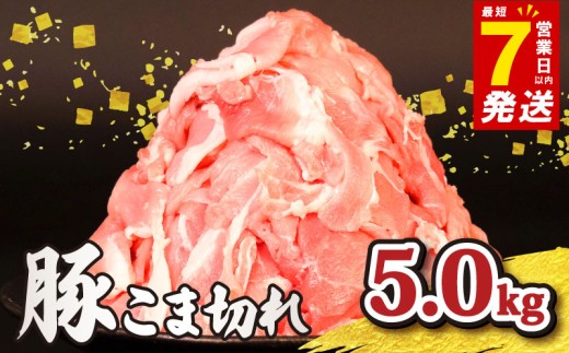 ＼最短7営業日以内発送／ 豚肉こま切れ 5kg 小分け 冷凍 真空パック 500g×10P 国産 豚 肉 こま肉 小間 小間肉 豚こま 小間切れ 小間 切り落とし 切落し ブランド 美味北総豚 千葉県 旭市 旭食肉協同組合 ask013