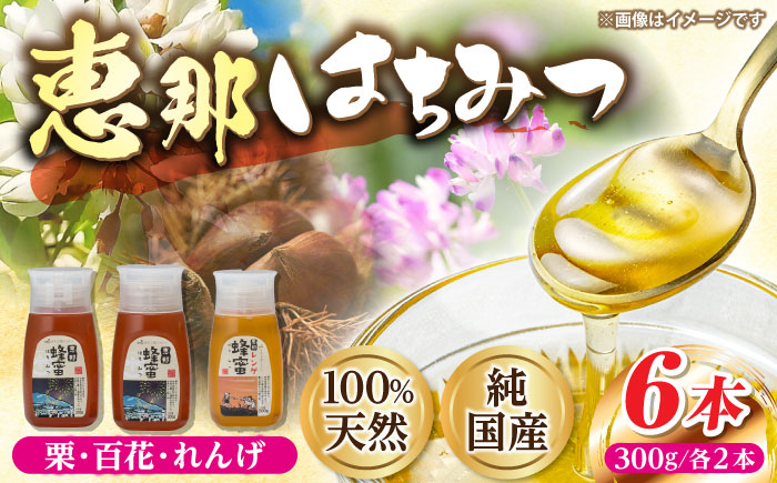 
            恵那蜂蜜 6本セット (蓮華蜂蜜・百花蜂蜜・栗蜂蜜300g×各2本) 国産 はちみつ 栗 百花 れんげ 岐阜 恵那市 / はち工房こうけつ [AUDF015]
          