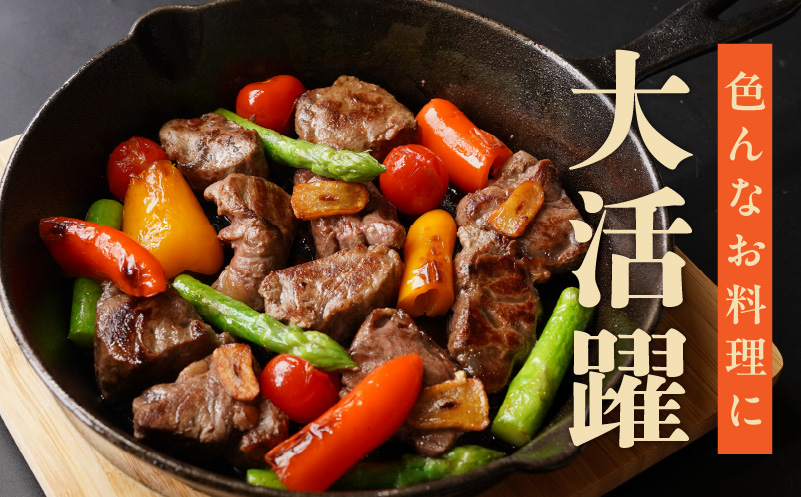 【定期便】牛ヒレ肉 切り落とし 1.5kg×全2回【小分け 500g×3P 氷温熟成×特製ダレ 訳あり サイズ不揃い やわらか ステーキ ひと口サイズ カット済み 2026年1月＆4月発送】 mrzZ