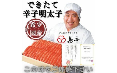 【博多辛子明太子の島本】特別限定品・希少国産卵のできたて辛子明太子240ｇ（無凍結）≪築上町≫【株式会社島本食品】めんたいこ たらこ 明太子 国内産 無着色 1本物[ABCR005]