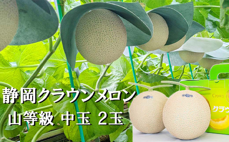 クラウンメロン 山等級 マスクメロン 青肉 クラウンメロン【中玉 1.3kg前後 2玉】