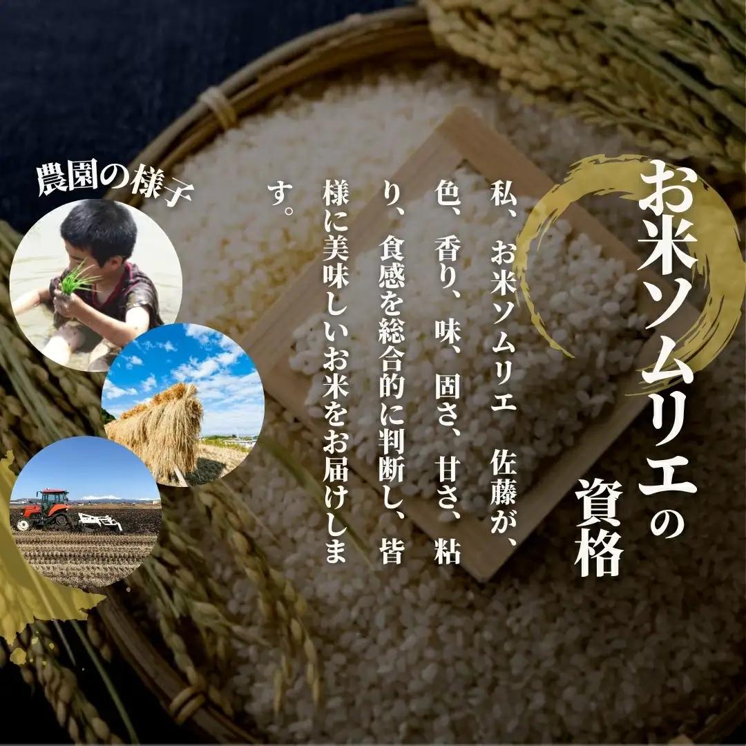 【先行予約】令和8年産 新米 ゆきん子舞 玄米 10kg(5kg×2袋)【9月中旬発送開始】 | 新潟県産 米 玄米 五泉市