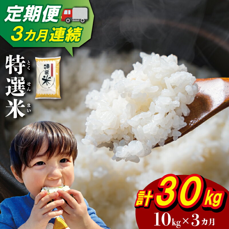 【ふるさと納税】三重県産 特選米 コシヒカリ 10kg 定期便 3回 ふるさと納税 ふるさと 米 コメ こめ おこめ ギフト プレゼント 贈答 贈り物 御祝い お祝い返礼品 人気 お取り寄せ 三重米 お米 新米 白米 精米 ブランド米 国産 毎月届く MK18