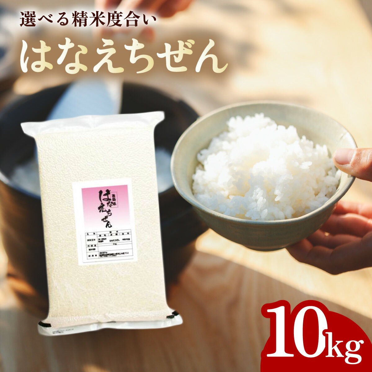 【ふるさと納税】 先行予約 はなえちぜん 白米 5kg×2袋 真空パック ハナエチゼン 米 簡易梱包 エコ梱包【2024年8月下旬以降順次お届け】