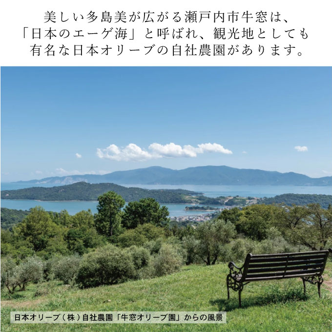 御中元 オーガニック 有機 オリーブオイル 180g×3本 セット 調味料 オリーブ油 フルーティー ブレンド 有機JAS認定 ギフト 